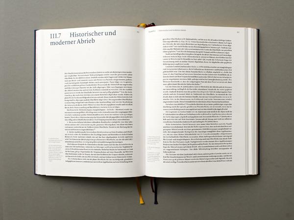 Historische Putztechniken - 10