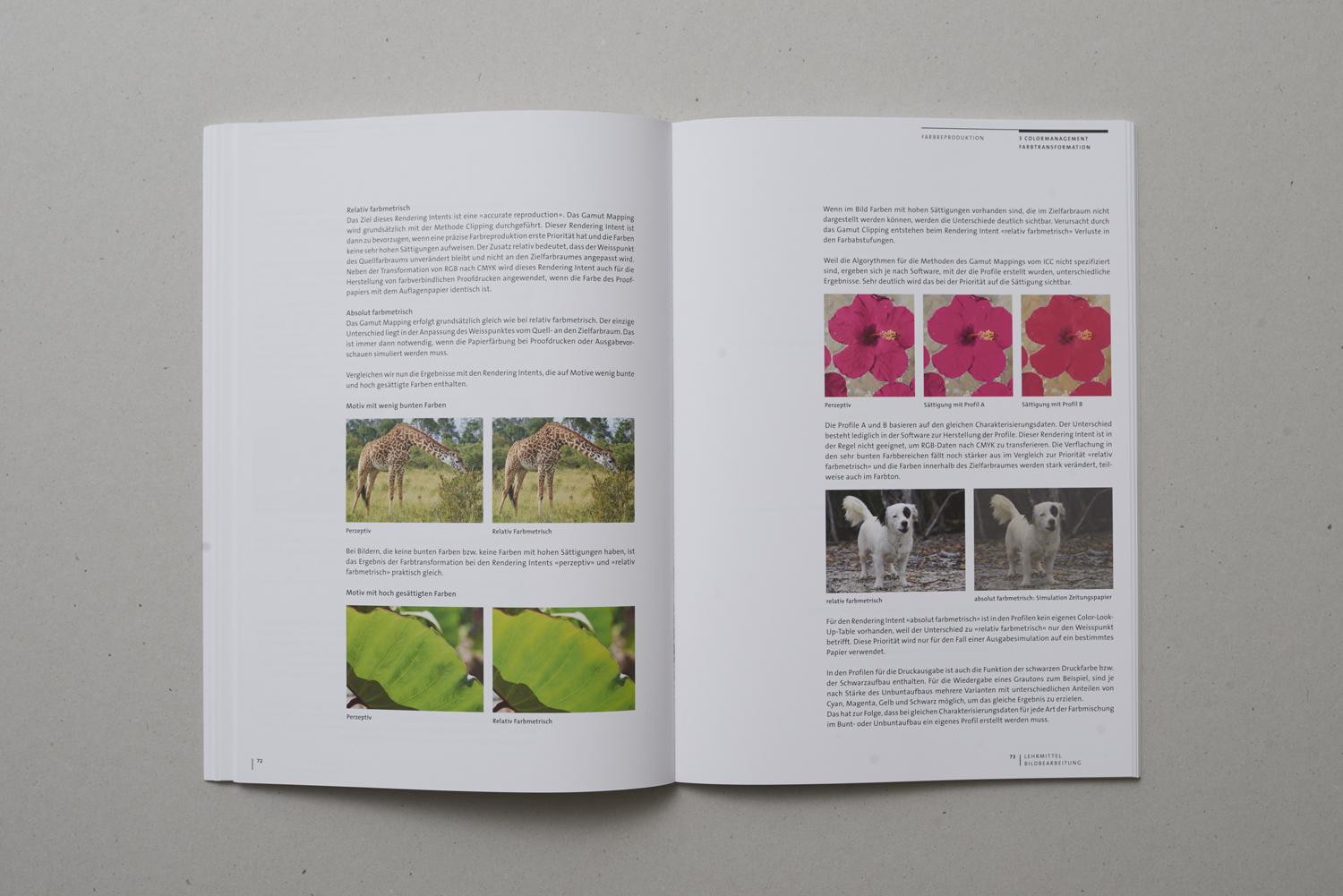 Bildbearbeitung: Farbreproduktion - 4