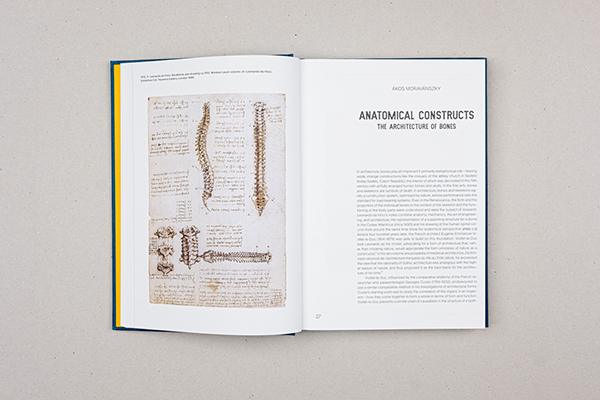 The Bones of Architecture - 5