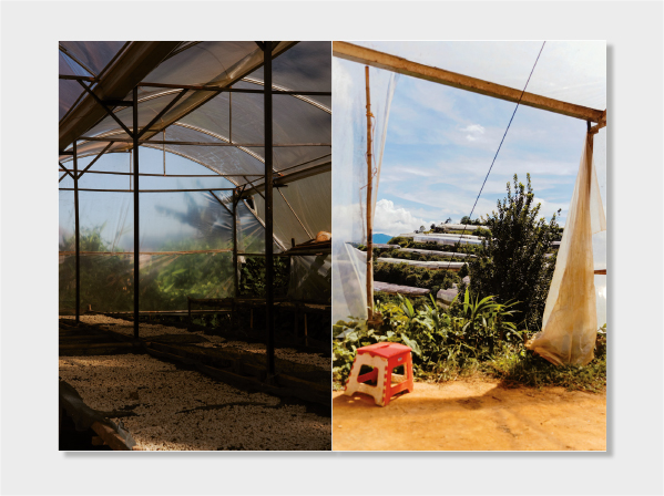 Objets vietnamiens - 15